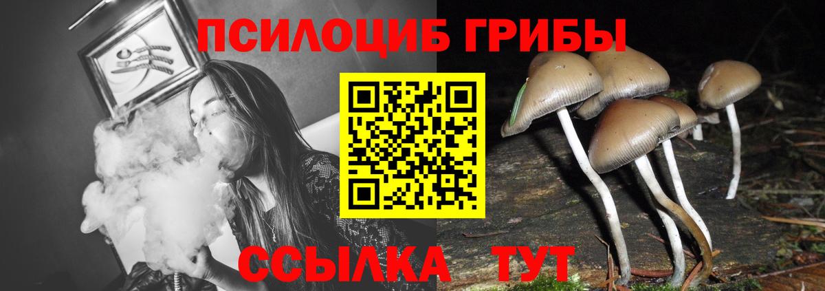 Феодосия  Псилоцибиновые грибы мицелий  Псилоцибиновые грибы MAGIC MUSHROOMS  Вход с VPN 