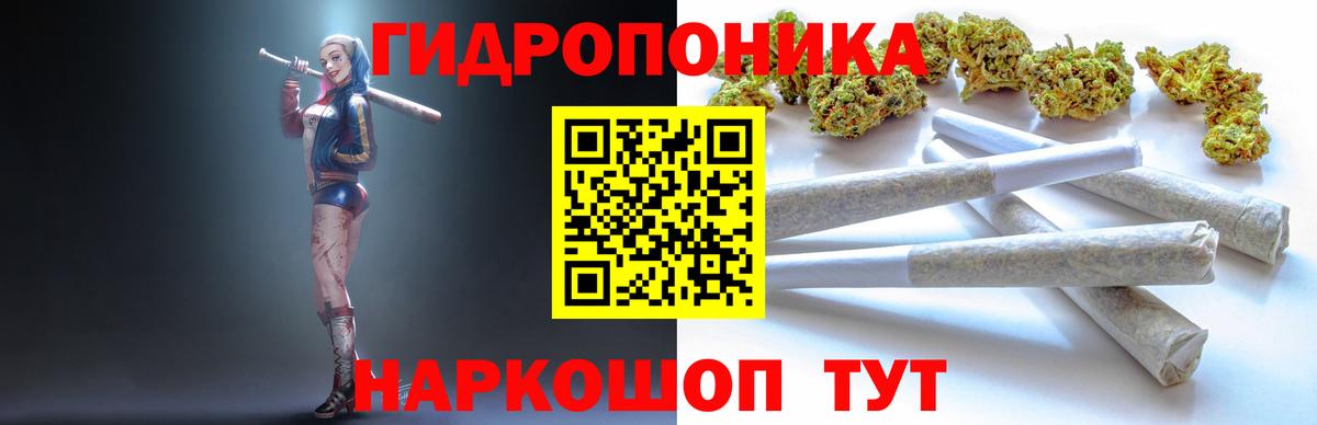 Конопля OG Kush Феодосия